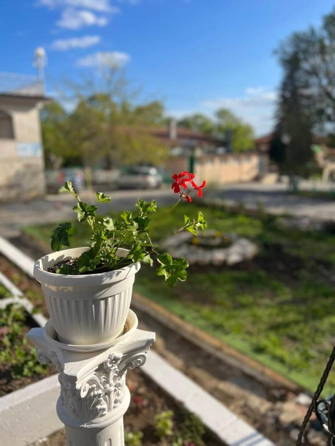 Хотел Диамант Hotel Diamond Balchik Eksteriør billede